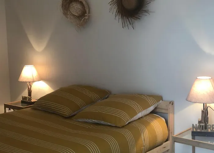 Bel appartement en rez-de-jardin à 100m des plages