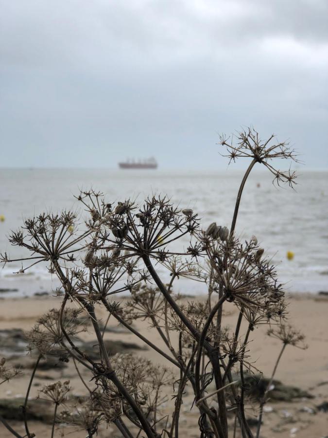 Bel En Rez-de-jardin à 100m Des Plages Saint-Nazaire (Loire-Atlantique)